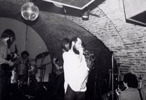 Sead Alić: FRIGIDNA UTIČNICA I ORWELOVSKA ISTINA