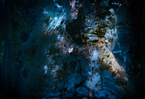 Sead Alić: Uz umjetničku instalaciju Fotograf i ja Marija Periše